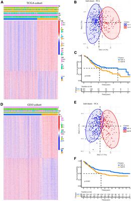Proliferation Cycle Transcriptomic Signatures are Strongly associated With Gastric Cancer Patient Survival